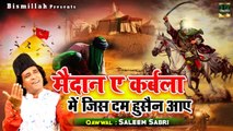 इस क़व्वाली को सुनकर आप रो पड़ोगे _ Maidan E Karbala Me Jis Dum Husain Aaye _ Saleem Sabri _ Muharram