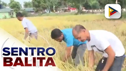 Descargar video: Dept. of Agriculture, nagpaliwanag sa ayudang hindi pa naibibigay sa mga magsasaka