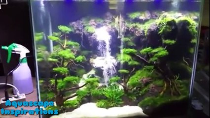 Aquascape- Tema Air Terjun