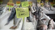 Balığın kafasındaki taşın fiyatını duyan şaştı kaldı