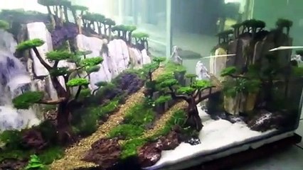 Aquascape _ Pemandangan bukit indah