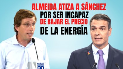 Almeida (PP) atiza a Sánchez por ser incapaz de bajar el precio de la energía: “No tiene capacidad”