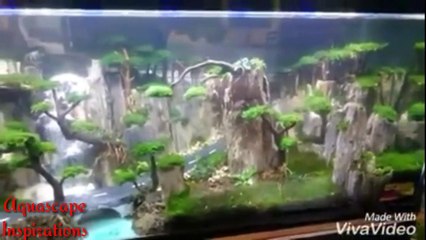 Aquascape - Tema Jalan bertebing... Asli keren banget