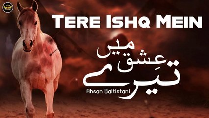 Tere Ishq Mein | Noha | Ahsan Baltistani | Labaik Labaik