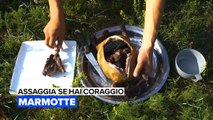 Assaggia se hai coraggio: Marmotte