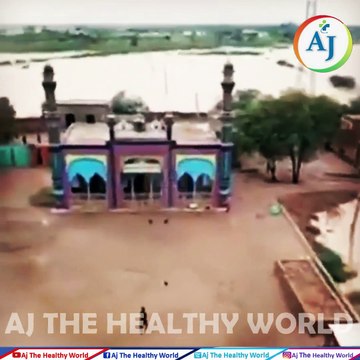 Massive Flooding In Pakistan | Extreme Situation In Pakistan | Natural Disaster | Weather News |