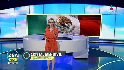 Rescatan a caballo que cayó en una coladera en Querétaro