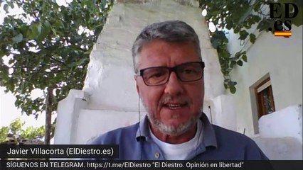 ¿Habéis notado que hay menos insectos?