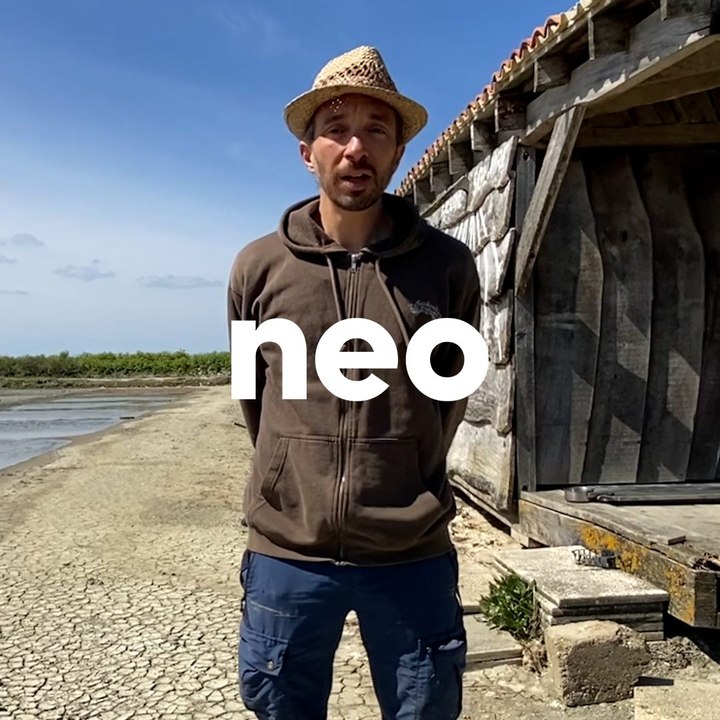 Vendeur de télévisions à Saint-Etienne, il a tout plaqué pour devenir saunier à l'île de Ré