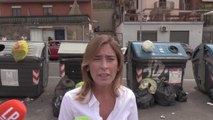 Boschi: 