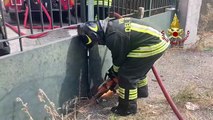 Incendio a San Giuliano Milanese, colonna di fumo nero - Video