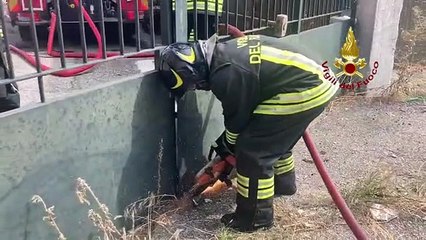 Incendio a San Giuliano Milanese, colonna di fumo nero - Video