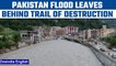 Pakistan Flood: Deadly floods leave a trail of devastation| Oneindia News *News