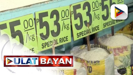 Descargar video: Presyo ng bigas, posibleng tumaas pa ng P3-4; Sen. Marcos, pinuna ang mabagal na distribusyon ng P5K ayuda para sa mga magsasaka