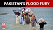 Pakistan floods: A third of Pak under water right now, India discussing aid