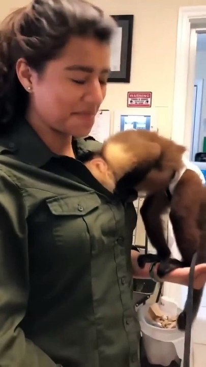 Animals Love