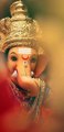 Ganesh Chaturthi Status | Ganesh Chaturthi  Status Full Screen | Ganpati Status |  ib329