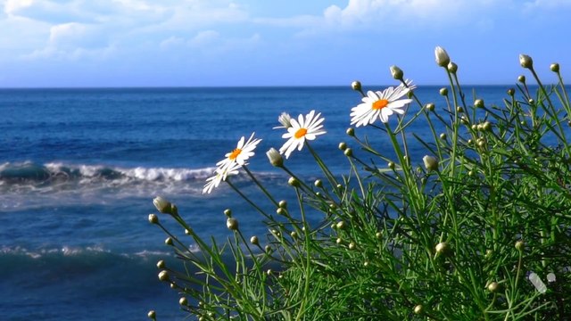 Relexing & Meditation Music | Sleep Music | Soulful Music | Flute Music