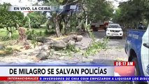 ¡Destartalada! Enorme rama por poco mata a miembros de la Policía en La Ceiba