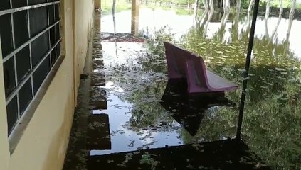 इलाज से पहले फूल रही है दमा रोगी की सांसे