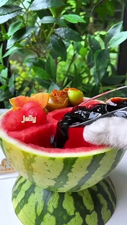 Let's_Try_Chef_Cat’s_August_Recipes_At_Home！(ASMR)_|_Cat_Cooking_Food_|__EggJelly&Hotpot_And_So_On