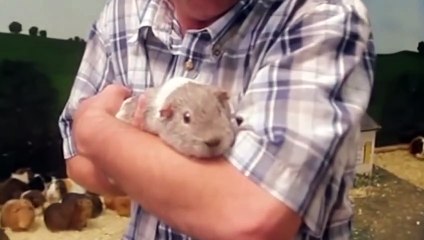 Ozzy Man's The Lives of Animals - Volume 6