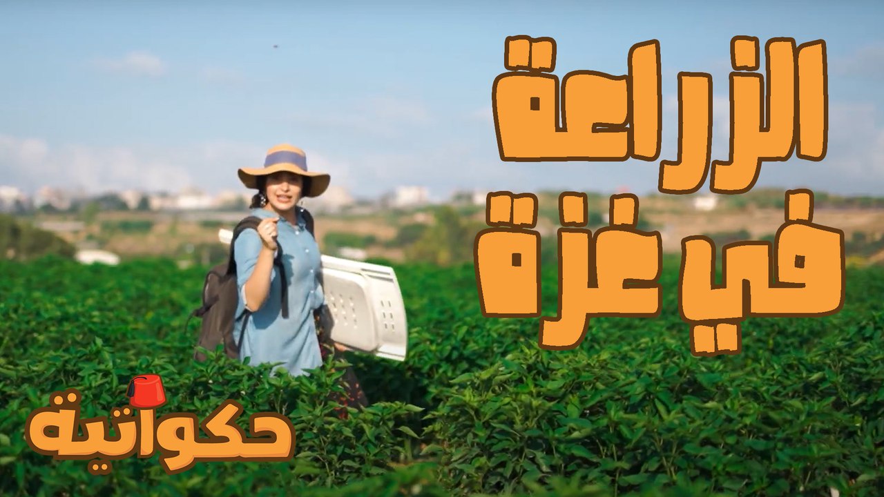 حكواتية - حلقة 07 - الزراعة في غزة