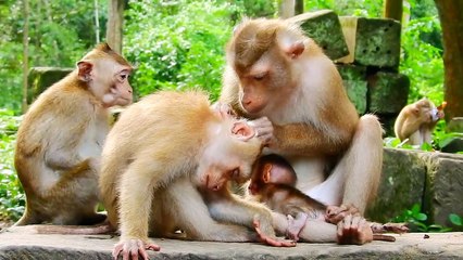 Wow today Rainbow happy with Libby #37