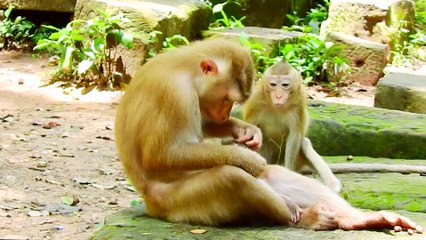 60=Rainbow cries low sound .. Dawn look not very happy