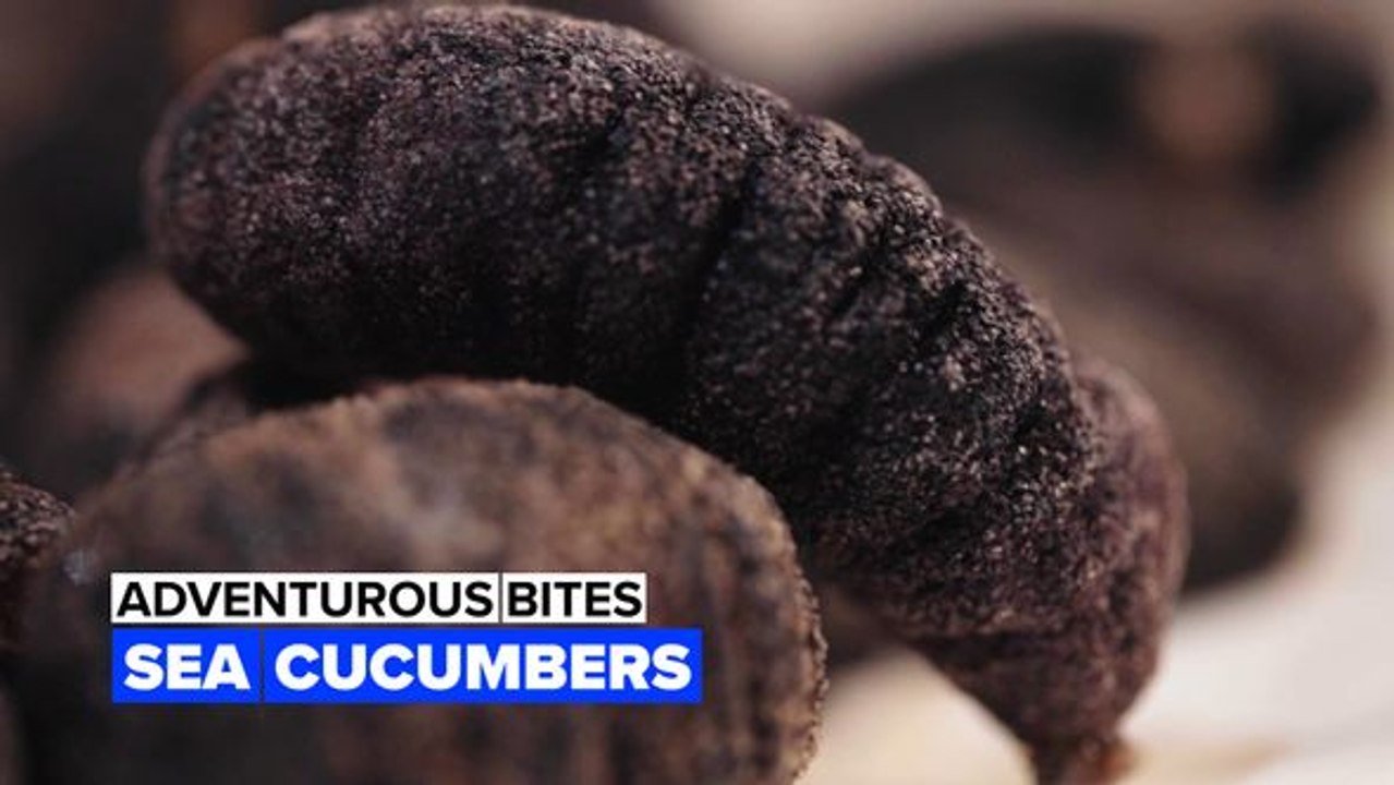 Adventurous bites: This sea cucumber is a delicacy