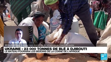 Crise alimentaire : l’Afrique à l’abri, "on peut s’inquiéter de la situation au Pakistan"