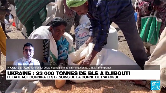 Crise alimentaire : l’Afrique à l’abri, on peut s’inquiéter de la situation au Pakistan