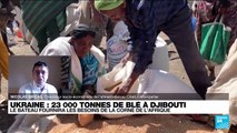 Crise alimentaire : l’Afrique à l’abri, 