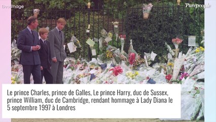 Download Video: Lady Diana : Elle voulait déménager sans William et Harry, révélations