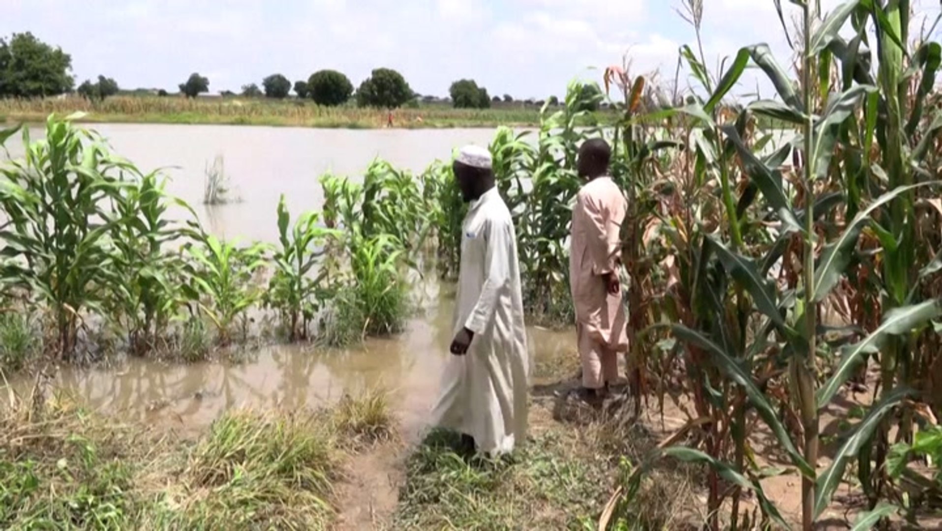 Flooding in Nigeria destroys houses and farmland