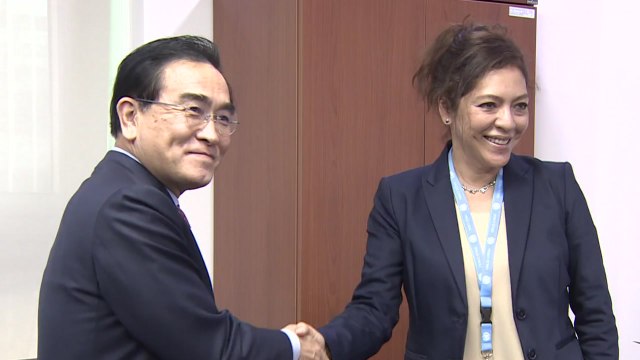 살몬 北인권보고관, 태영호 만나 북한 인권 문제 논의 / YTN