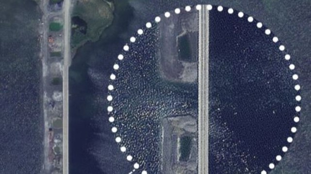 An all-weather Chinese bridge on Pangong Tso: Beijing's disengagement deceit exposed