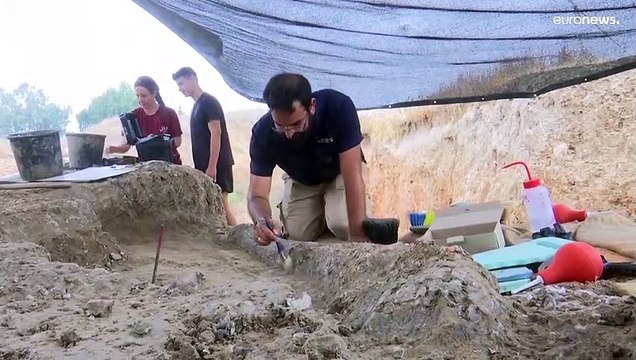 شاهد: علماء الآثار الإسرائيليون يعثرون على ناب فيل عاش قبل نصف مليون عام