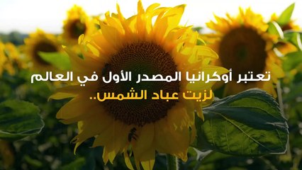 WT-Filler-Wed-Ukraine Exports TV.mp4