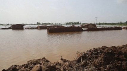Las inundaciones acaban con la esperanza de miles en Pakistán