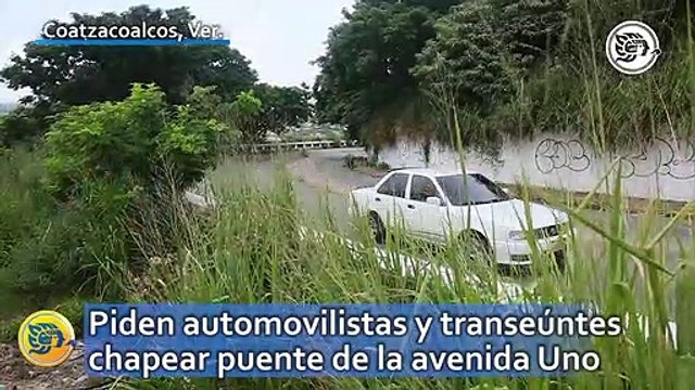 Piden automovilistas y transeúntes chapear puente de la avenida Uno