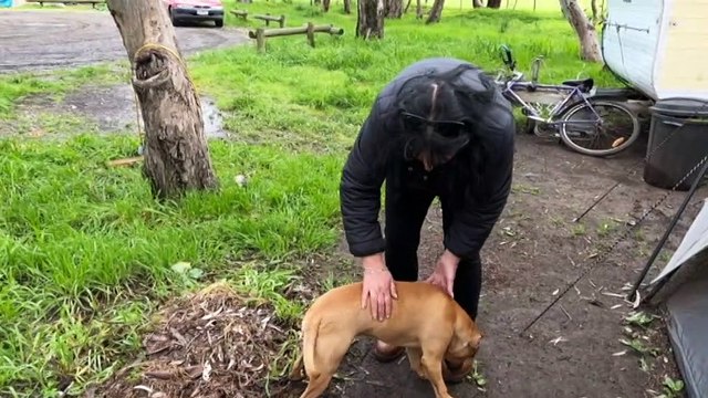 Homeless campers living in Victorian park threatened with eviction