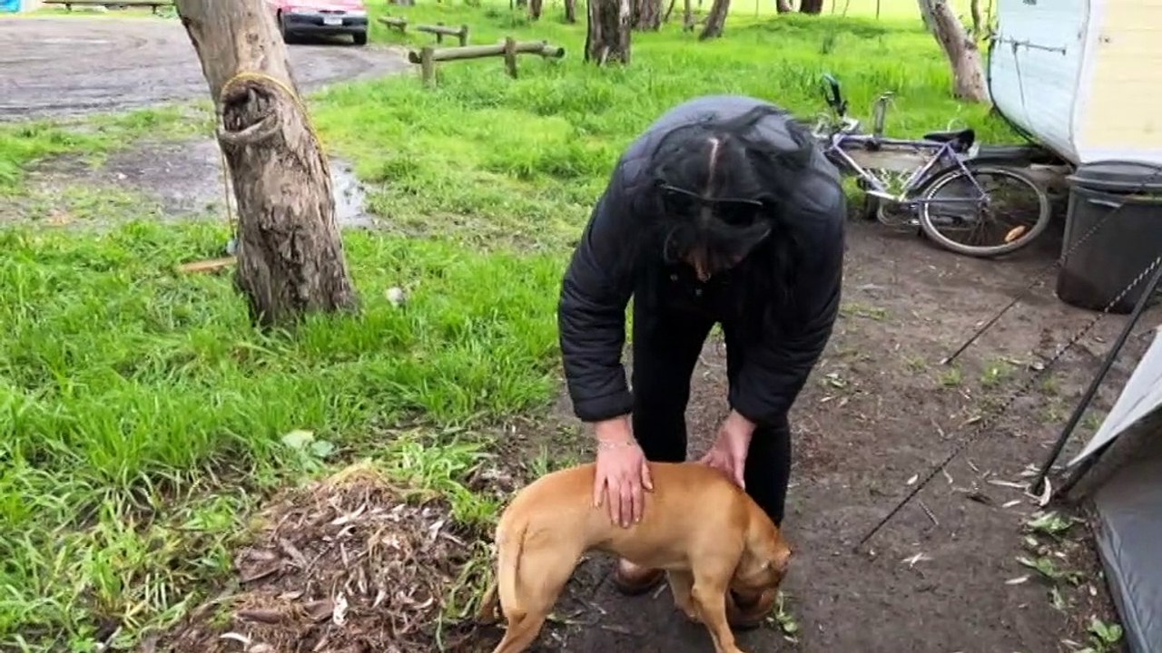 Homeless campers living in Victorian park threatened with eviction