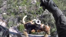 Pima County Sheriff’s Department rescues two hikers and a dog