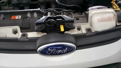 ford fiesta air filter replacement