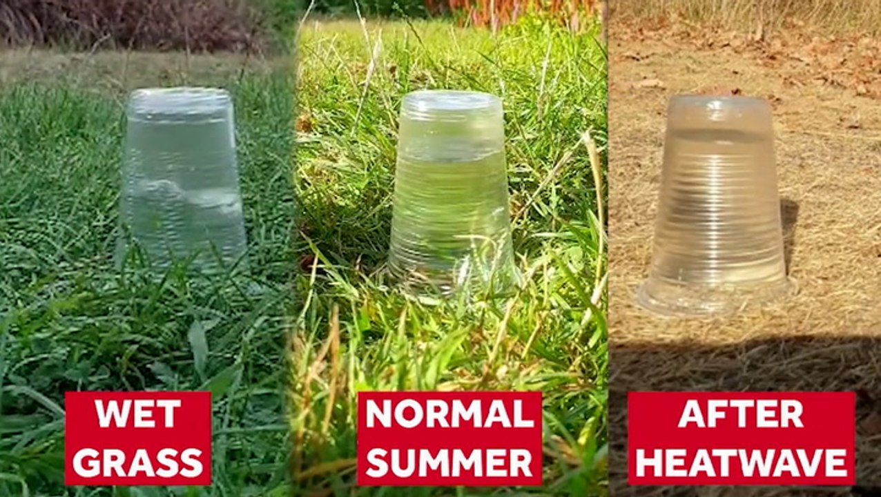 Why droughts lead to flooding