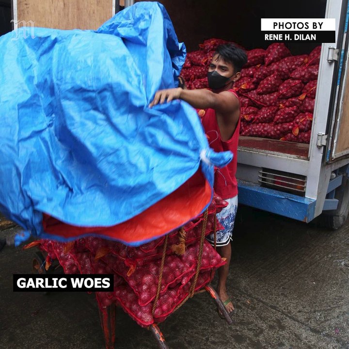Garlic woes