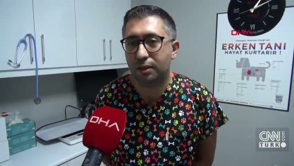 Hasta tavşanı ölüme terk etti