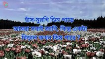 Intresting bangla dhadha। bangla gk video general knowledge bangla। Shadharan gyan bangla। Bangla quiz। bangla mcq