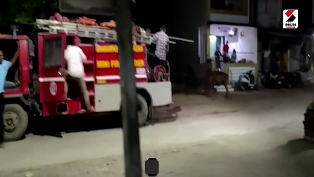 વલસાડના ધરમપુરમાં આખલાનો આતંક જોવા મળ્યો